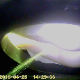 In this voyeur clip, a camera installed inside of a portable chemical toilet records a woman taking a powerful piss and then a huge shit. Contains decent audio. About 1.5 minutes.